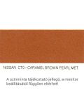 Nissan Metál Bázis Autófesték Színkód: CT0
